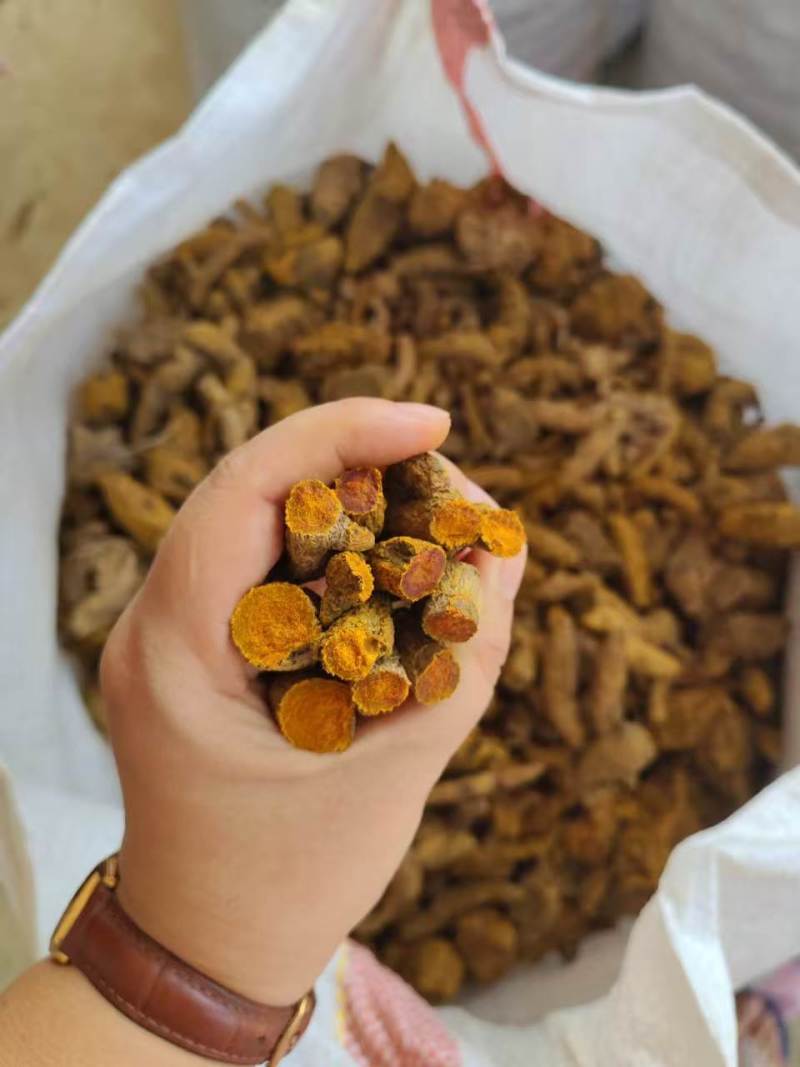 云南缅滇高品质姜黄对接全国量大优质高含量