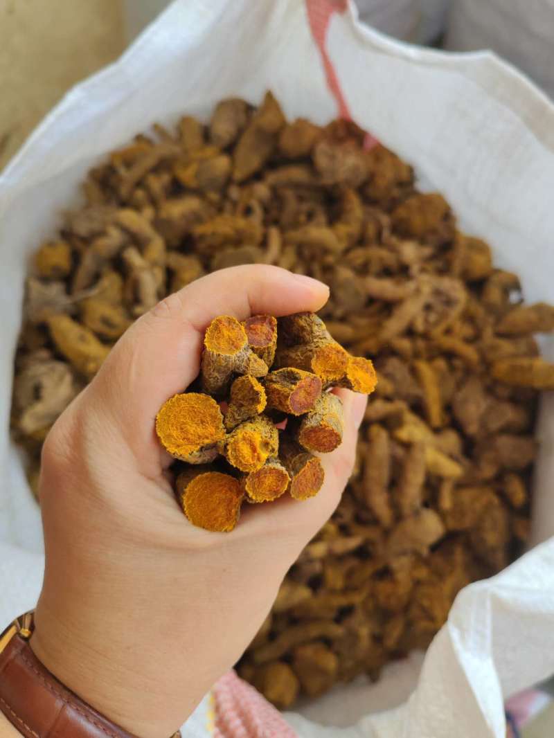 云南缅滇高品质姜黄对接全国量大优质高含量