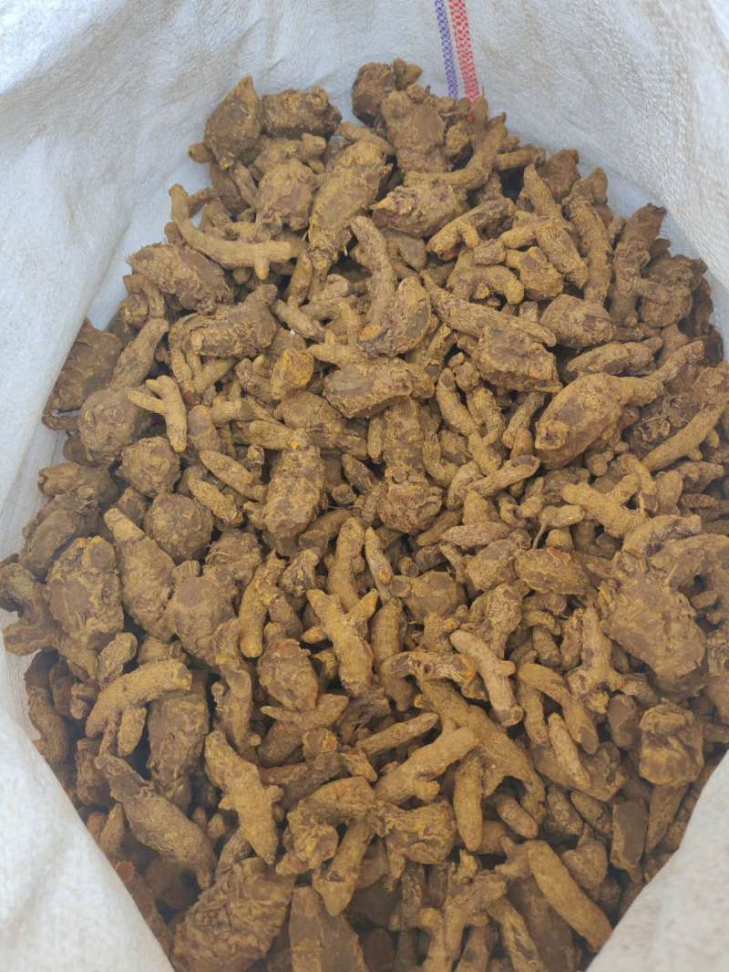 云南缅滇高品质姜黄对接全国量大优质高含量