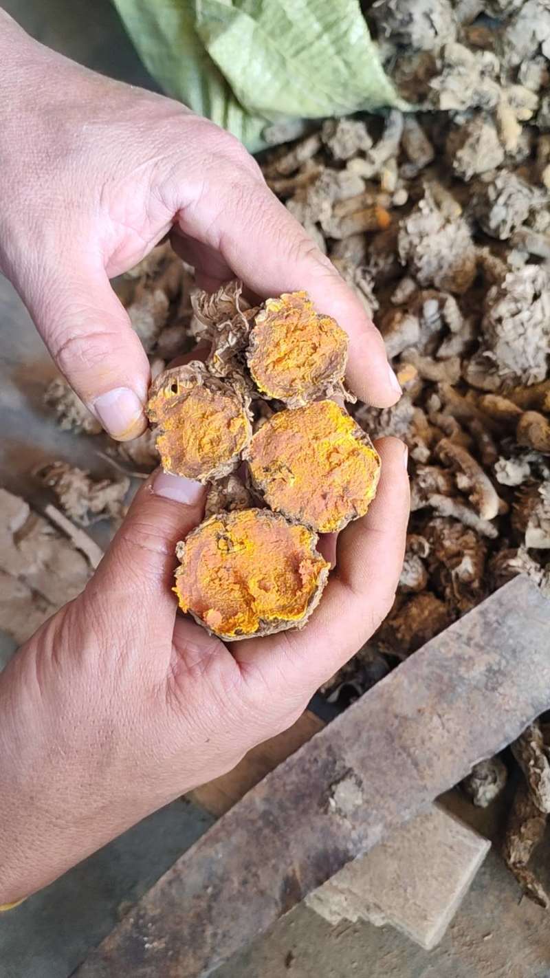 云南缅滇高品质姜黄对接全国量大优质高含量