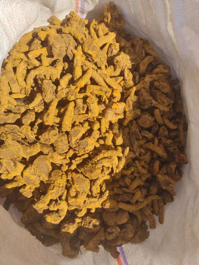 云南缅滇高品质姜黄对接全国量大优质高含量