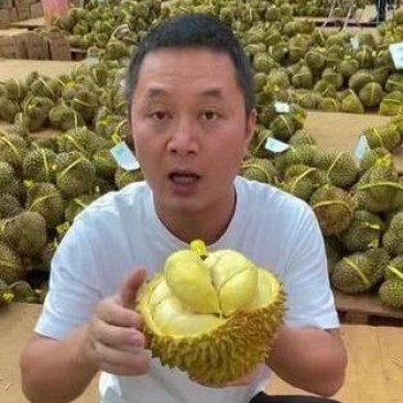金枕榴莲一手批发价格，A果保5房，坏果包赔，包售后