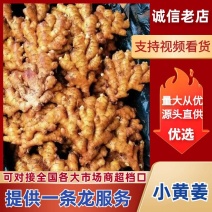 《实力商家》云南小黄姜/对接市场档口商超/欢迎保质量全国发货