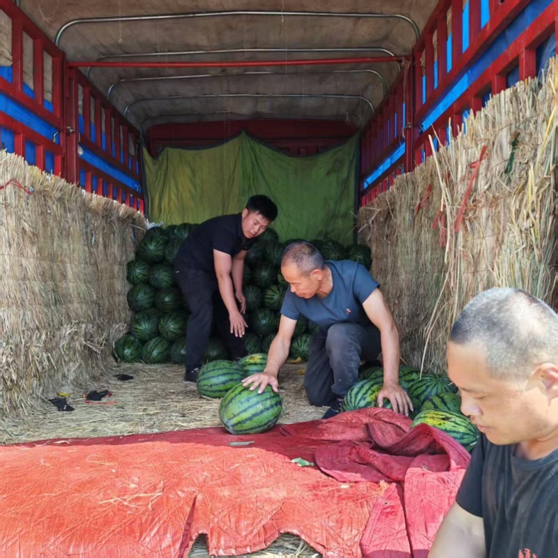 河北甜王西瓜、本地西瓜大量供应、一手货源保甜保熟。