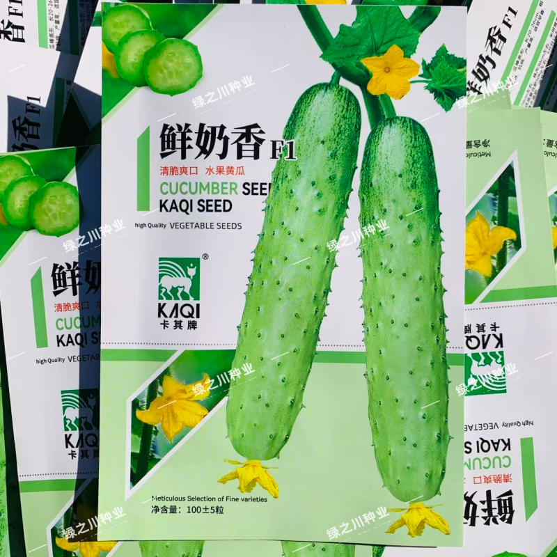 鲜奶香水果黄瓜种子脆甜全雌性耐热耐寒水果黄瓜种子清香甜脆
