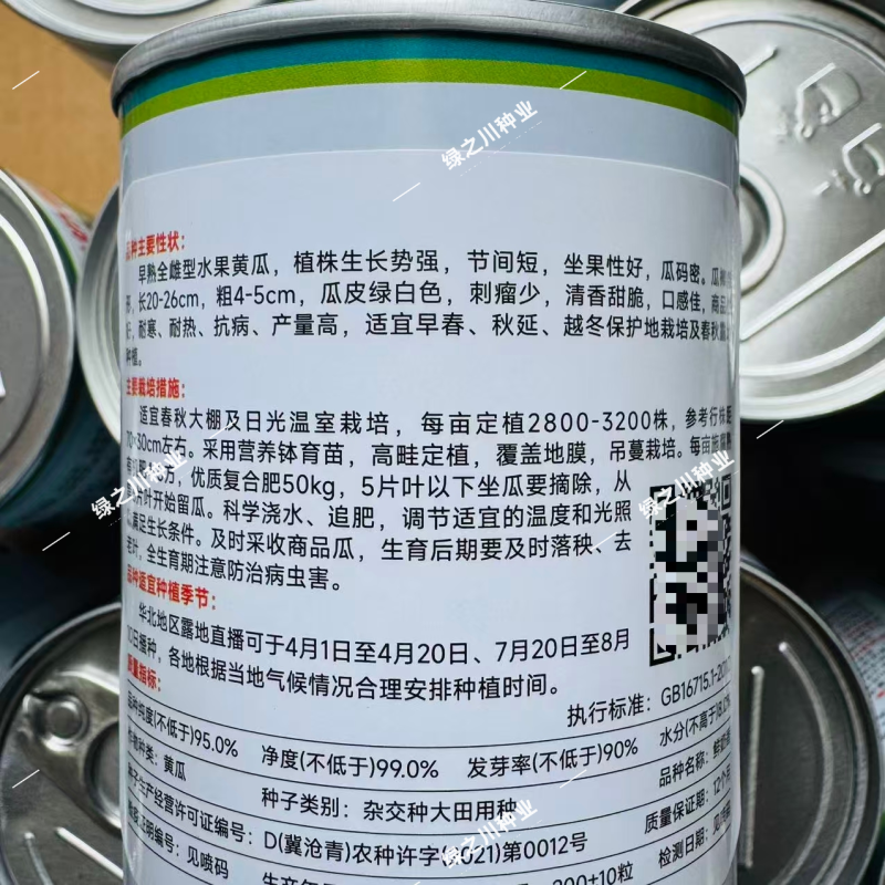 鲜奶香水果黄瓜种子脆甜全雌性耐热耐寒水果黄瓜种子清香甜脆