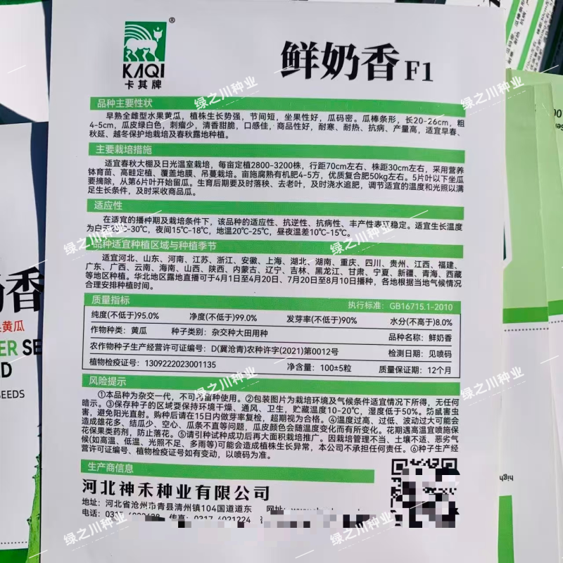 鲜奶香水果黄瓜种子脆甜全雌性耐热耐寒水果黄瓜种子清香甜脆