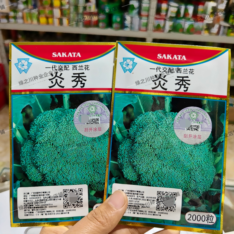 炎秀西兰花种子进口一代杂交西兰花品种西蓝花花椰菜种子绿色