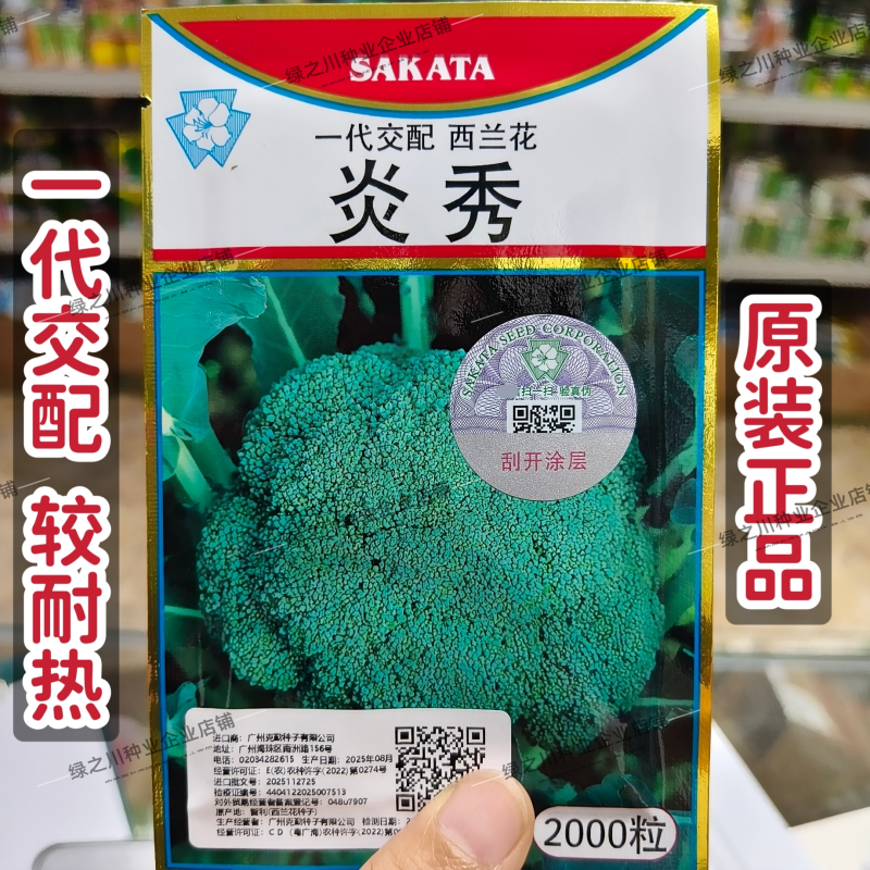 炎秀西兰花种子进口一代杂交西兰花品种西蓝花花椰菜种子绿色