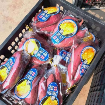 榴莲蜜薯，产地直发，**团购，商超，质量保证