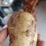 河南南阳优质淀粉薯土豆产地直发量大从优欢迎来电咨询