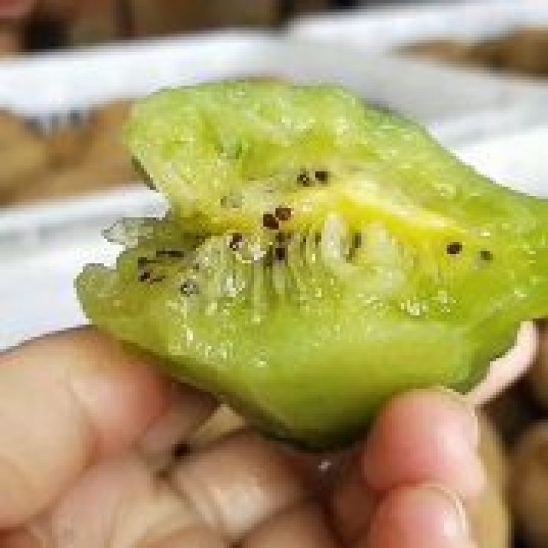 湘西特产米良绿心猕猴桃，口感香甜可口