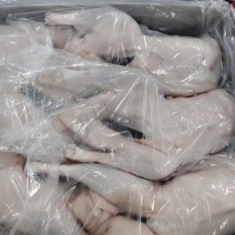 现货一级两光鹅
