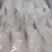现货一级两光鹅