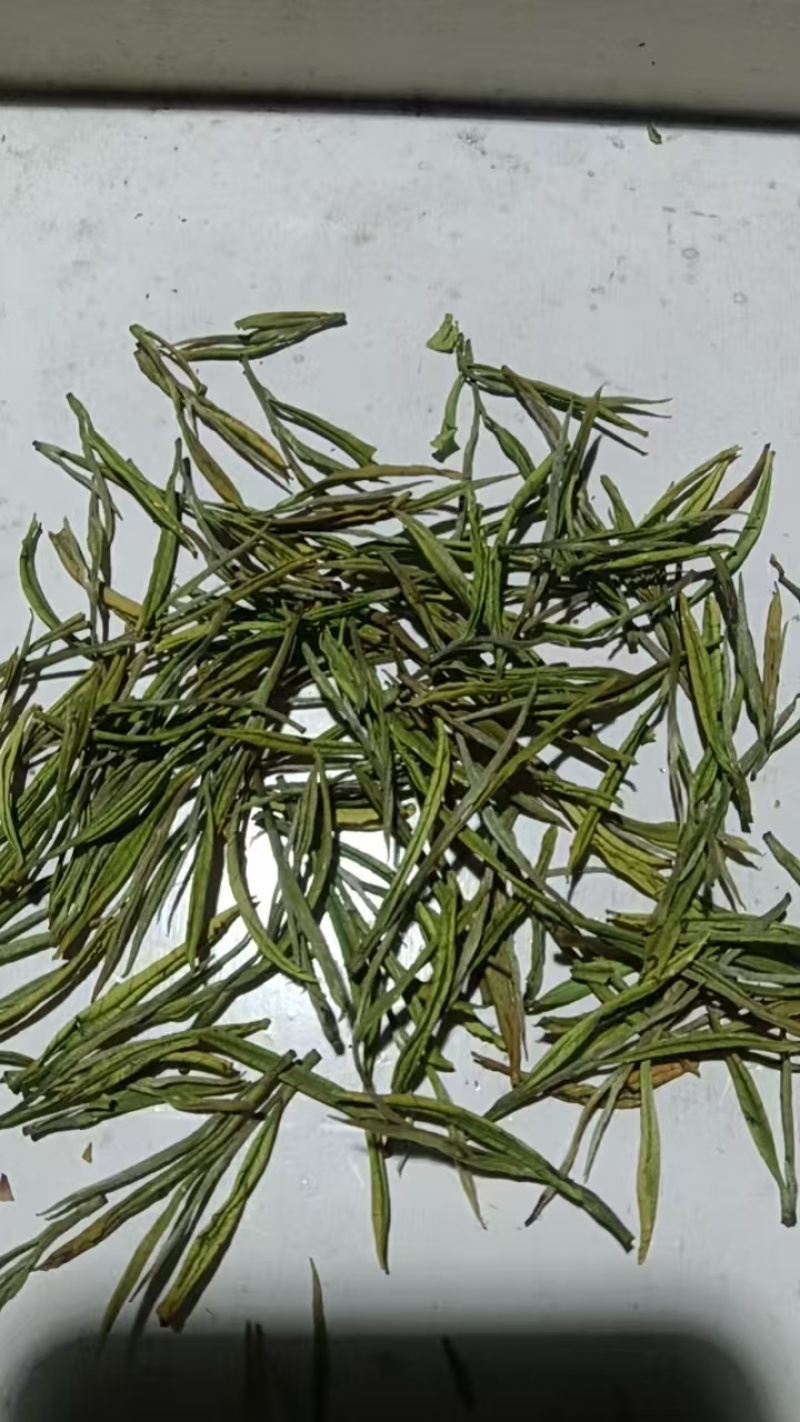 毛尖茶