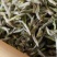 【品质口粮茶】特级白毫银针茶叶白毫银针浓香袋装