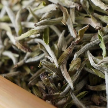 【品质口粮茶】特级白毫银针茶叶白毫银针浓香袋装