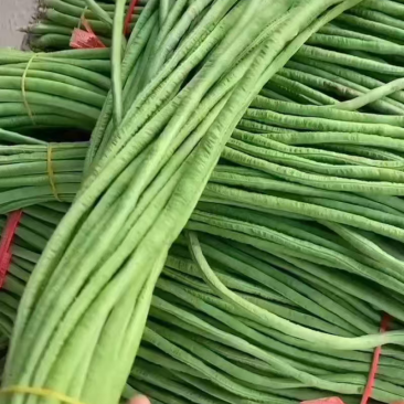 新鲜长豆角豇豆现摘现发肉质肥厚产地直供批发