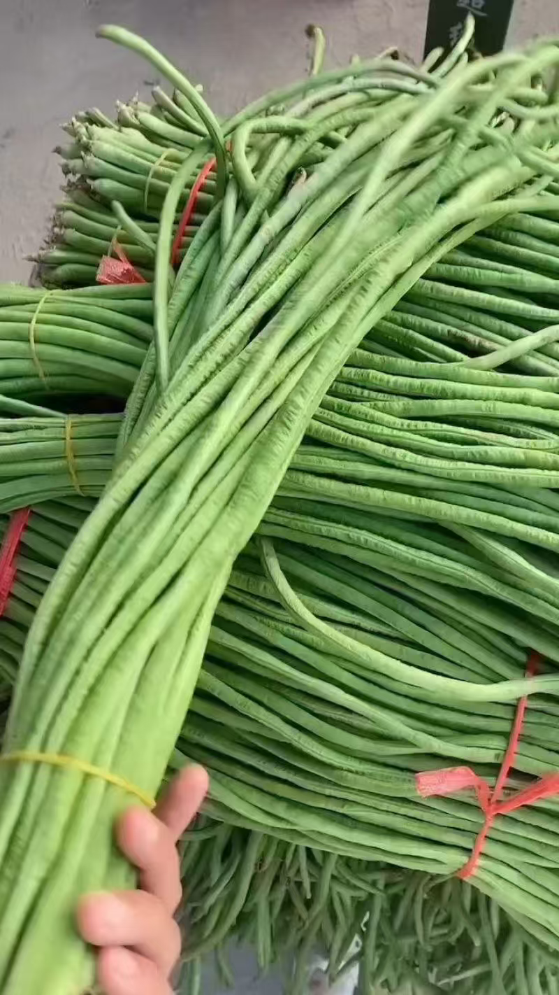新鲜长豆角豇豆现摘现发肉质肥厚产地直供批发