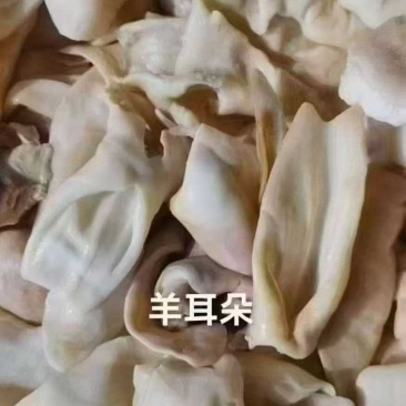 羊耳朵