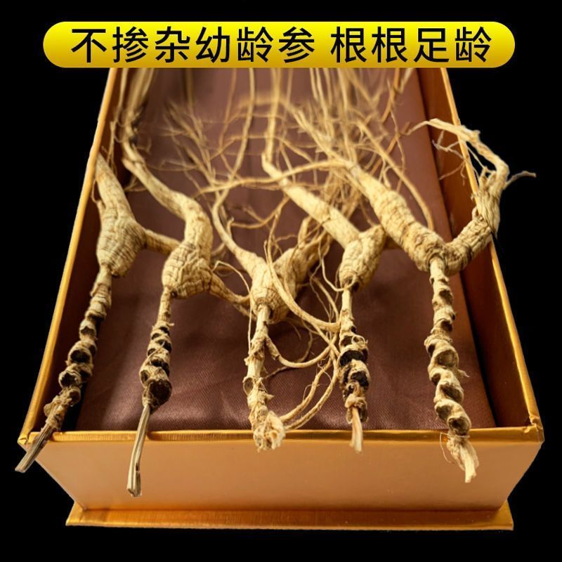 【林下残参】长白山林下参正品残参足干足龄产地直发煲汤泡酒