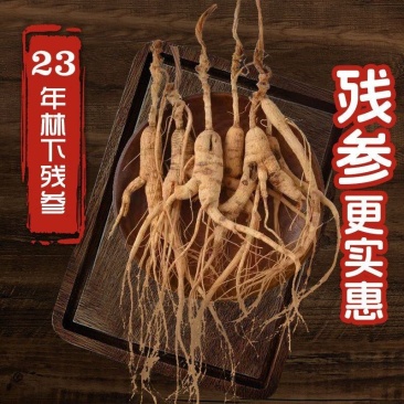 长白山林下参正品残参足干足龄产地直发煲汤泡酒