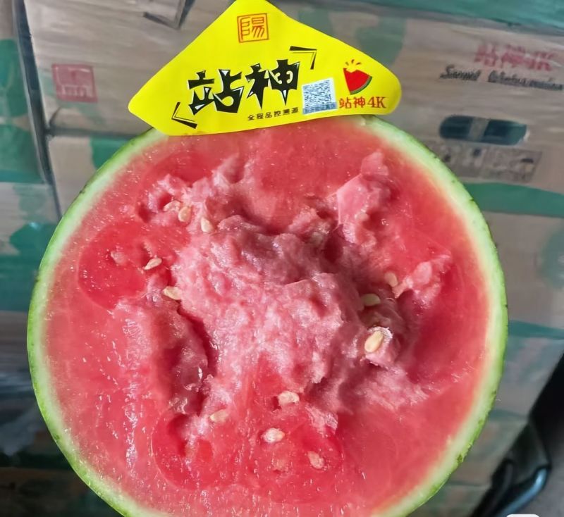 陕西精品4k西瓜，品质保证，质量三包，糖度14