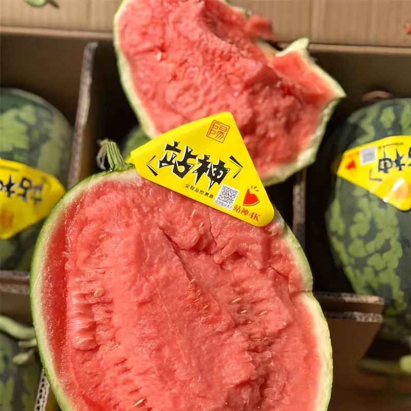 陕西精品4k西瓜，品质保证，质量三包，糖度14