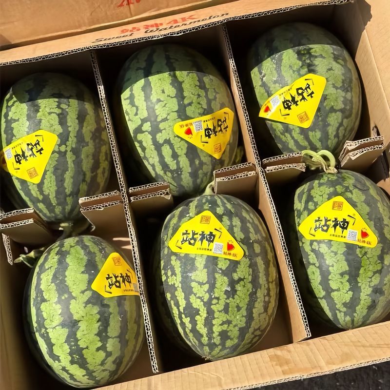 陕西精品4k西瓜，品质保证，质量三包，糖度14