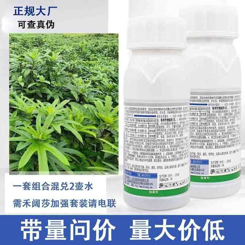五指毛桃除草剂苗后除禾尖叶草阔叶草日本草臭草牛筋草小草