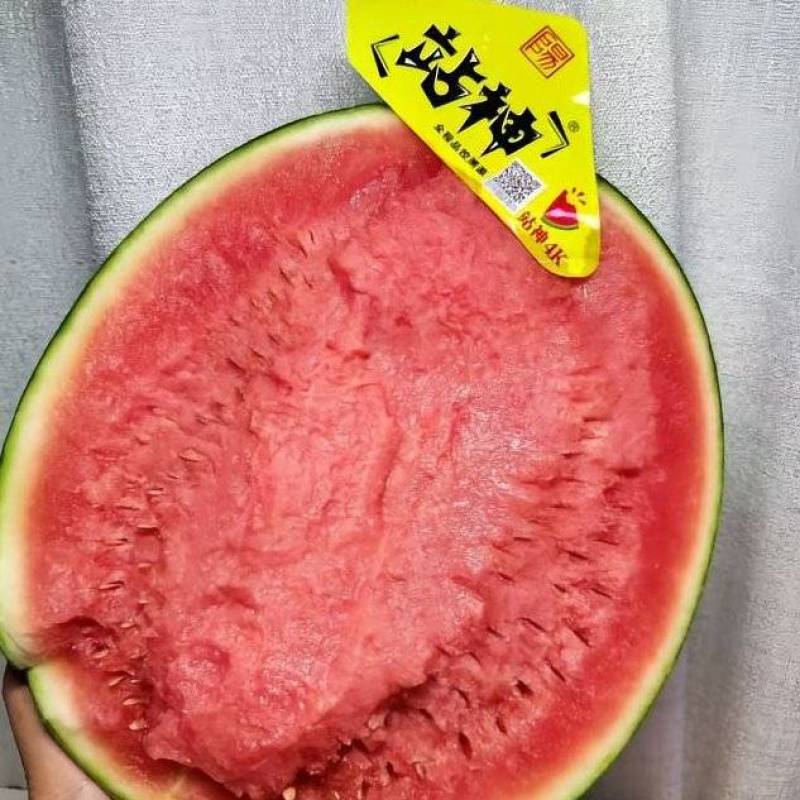 陕西精品4k西瓜，品质保证，质量三包，糖度14