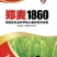 郑麦1860小麦种子河南省农科院培育高产新品种