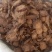 中药材大黄大黄片生大黄大黄粉土大黄500g