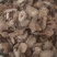 中药材大黄大黄片生大黄大黄粉土大黄500g