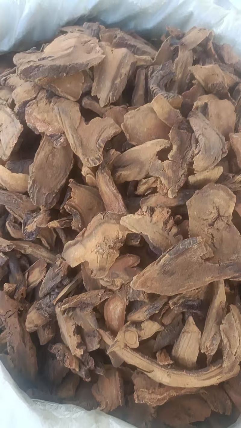 中药材大黄大黄片生大黄大黄粉土大黄500g