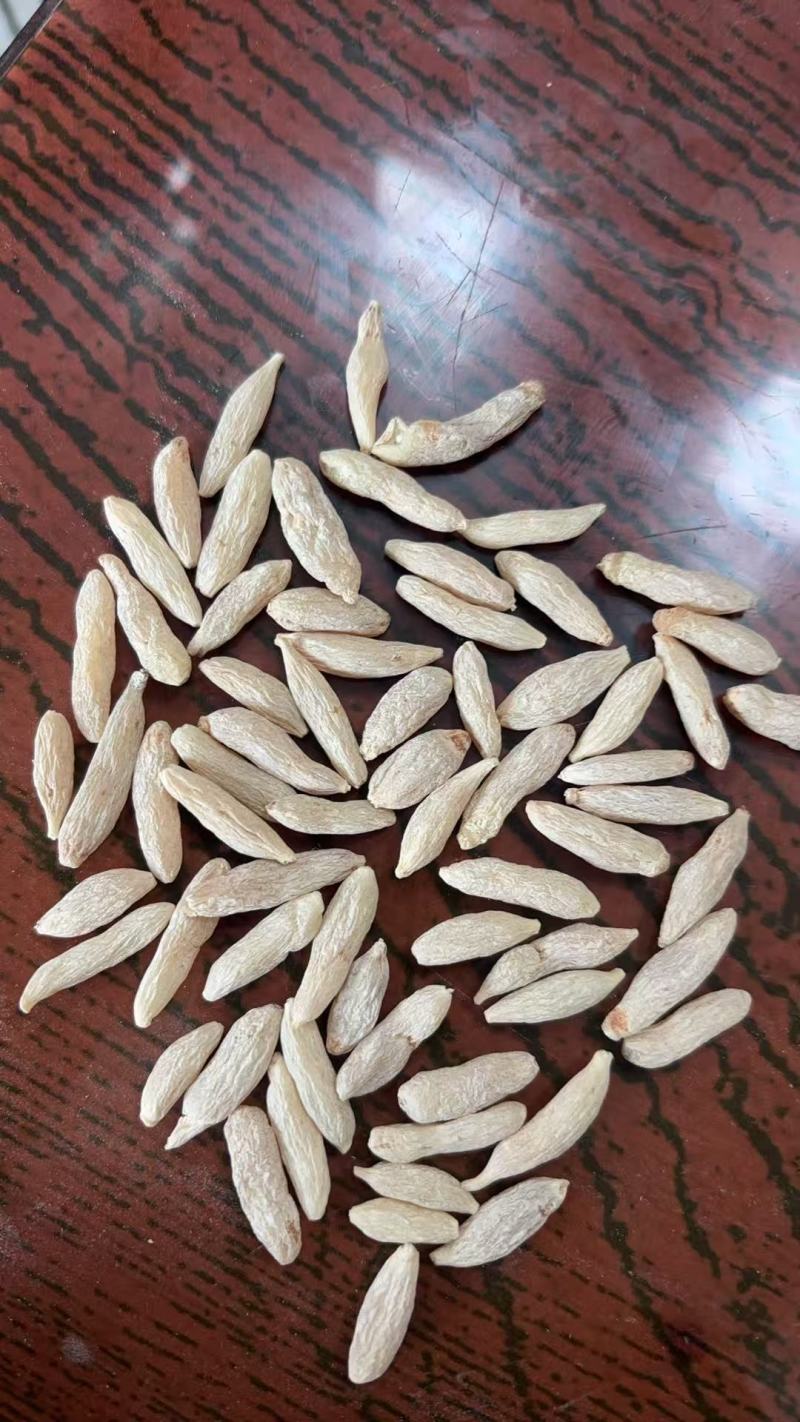 麦冬四川绵阳麦冬中药材产地直发价格实惠欢迎老板选购