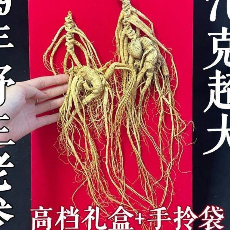 长白山65+老参正宗林下参东北干参泡酒煲汤特大人参