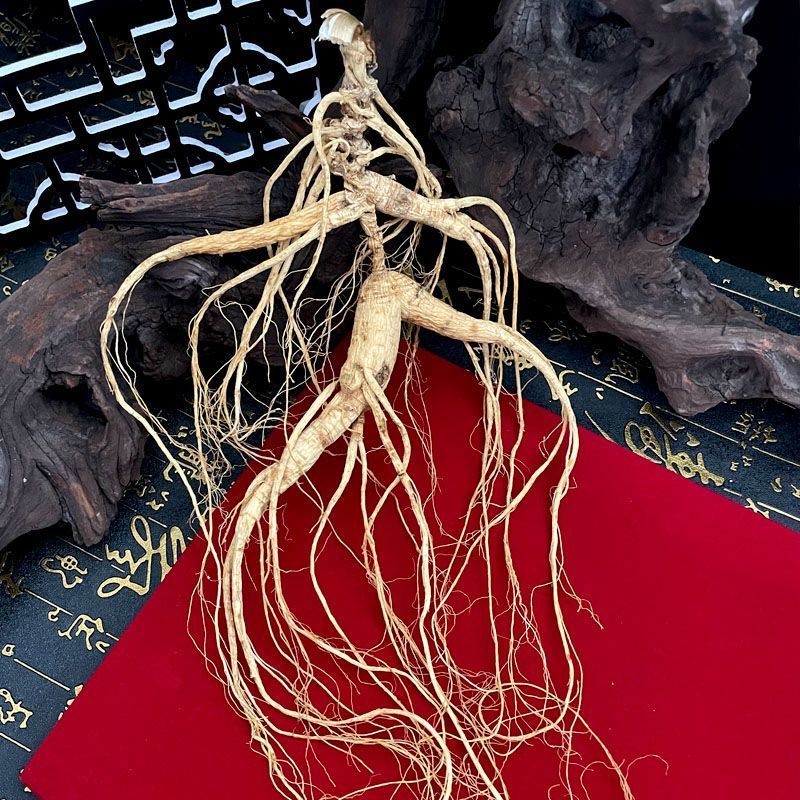 长白山65+老参正宗林下参东北干参泡酒煲汤特大人参