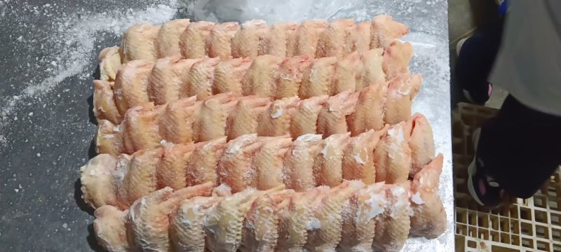 白毛种母鸡全翅，165克以上