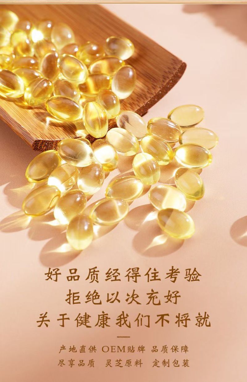 灵芝孢子油软胶囊