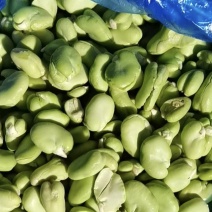 【蚕豆瓣】江苏新鲜冻蚕豆瓣蚕豆米规格齐全欢迎采购