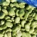 【蚕豆瓣】江苏新鲜冻蚕豆瓣蚕豆米规格齐全欢迎采购