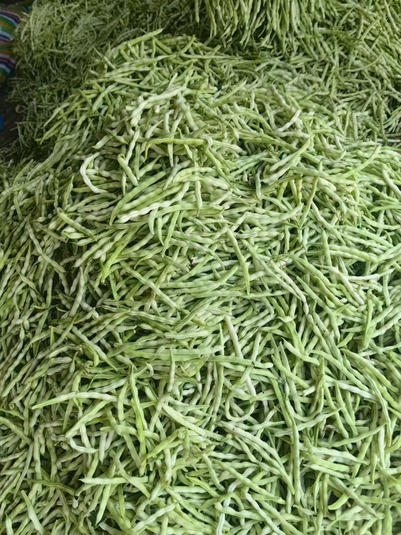 山东临沂九粒白芸豆质量保证面向全国发货量大了