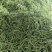 山东临沂九粒白芸豆质量保证面向全国发货量大了