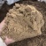 核桃壳粉厂核桃油糠核桃壳粉核桃砂核桃粉