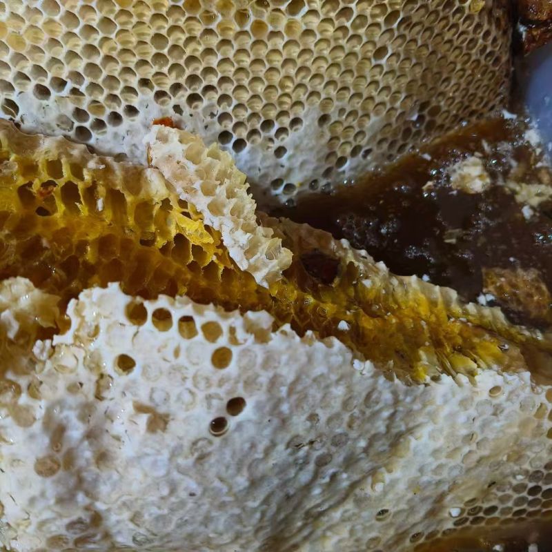 蜂蜜土蜂蜜中华土蜂蜜甘肃陇南徽县土蜂蜜全球**德米特认证