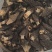 掉价了掉价了羊肚菌3-5cm