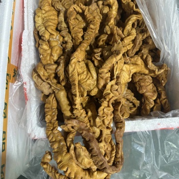 熟食卤味卤肥肠全熟卤肥肠
