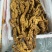 熟食卤味卤肥肠全熟卤肥肠
