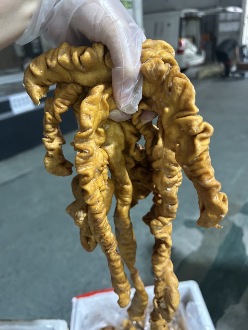 熟食卤味卤肥肠全熟卤肥肠